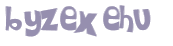 CAPTCHA 挑戰
