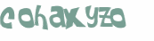 Captcha 챌린지