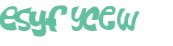 Captcha-Test