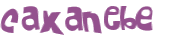 Captcha-Test