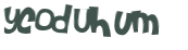 Wyzwanie captcha