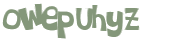 Captcha 챌린지