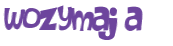 CAPTCHA 挑戰