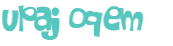 CAPTCHA 挑戰