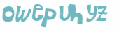 Wyzwanie captcha