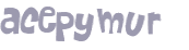 CAPTCHA 挑戰