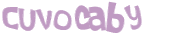 キャプチャ認証