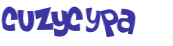CAPTCHA 挑戰