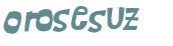 Captcha 챌린지
