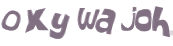 CAPTCHA 挑戰