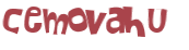 CAPTCHA 挑戰