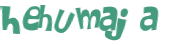 Captcha-Test