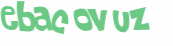 CAPTCHA 挑戰