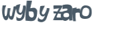 Wyzwanie captcha