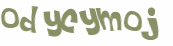 Wyzwanie captcha