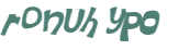 CAPTCHA 挑戰