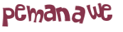 CAPTCHA 挑戰