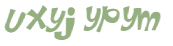 CAPTCHA 挑戰
