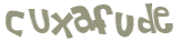 Prueba Captcha
