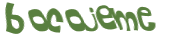 CAPTCHA 挑戰
