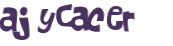 Captcha 챌린지