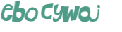 Captcha 챌린지