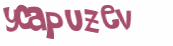 CAPTCHA 挑戰