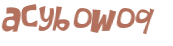 CAPTCHA 挑戰