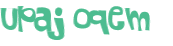 CAPTCHA 挑戰