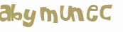 CAPTCHA 挑戰
