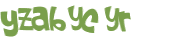 CAPTCHA 挑戰