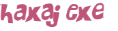 Sfida captcha