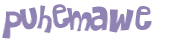 CAPTCHA 挑戰