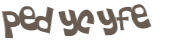 Desafio captcha