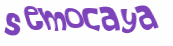 Captcha 챌린지