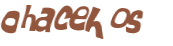 CAPTCHA 挑戰