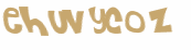 Captcha 챌린지