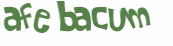 Desafio Captcha