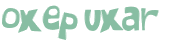 CAPTCHA 挑戰