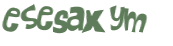 CAPTCHA 挑戰