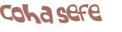 Desafio captcha