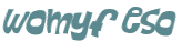 CAPTCHA 挑戰