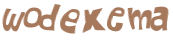 Wyzwanie captcha