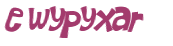 CAPTCHA 挑戰