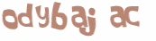 Wyzwanie captcha