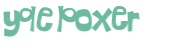 Wyzwanie captcha