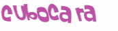 Sfida captcha