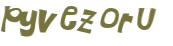 CAPTCHA 挑戰