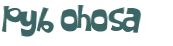 Wyzwanie captcha