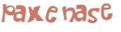 CAPTCHA 挑戰